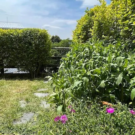 La Casetta Del Mirtillo Rosso Santo Stefano dʼAveto