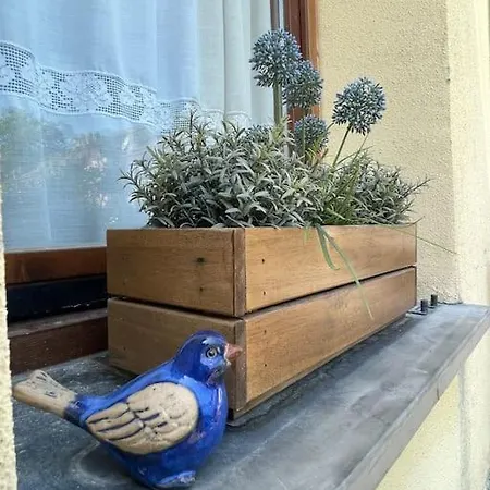 Apartman La Casetta Del Mirtillo Rosso