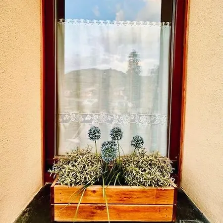 La Casetta Del Mirtillo Rosso Apartment