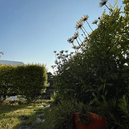 La Casetta Del Mirtillo Rosso Appartement Santo Stefano dʼAveto