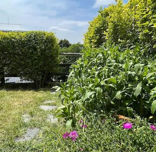 La Casetta Del Mirtillo Rosso Santo Stefano dʼAveto