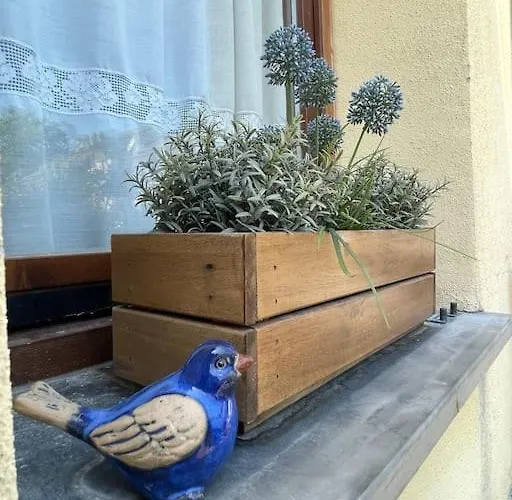 Appartement La Casetta Del Mirtillo Rosso