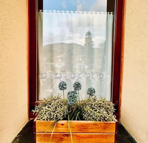 La Casetta Del Mirtillo Rosso Appartement